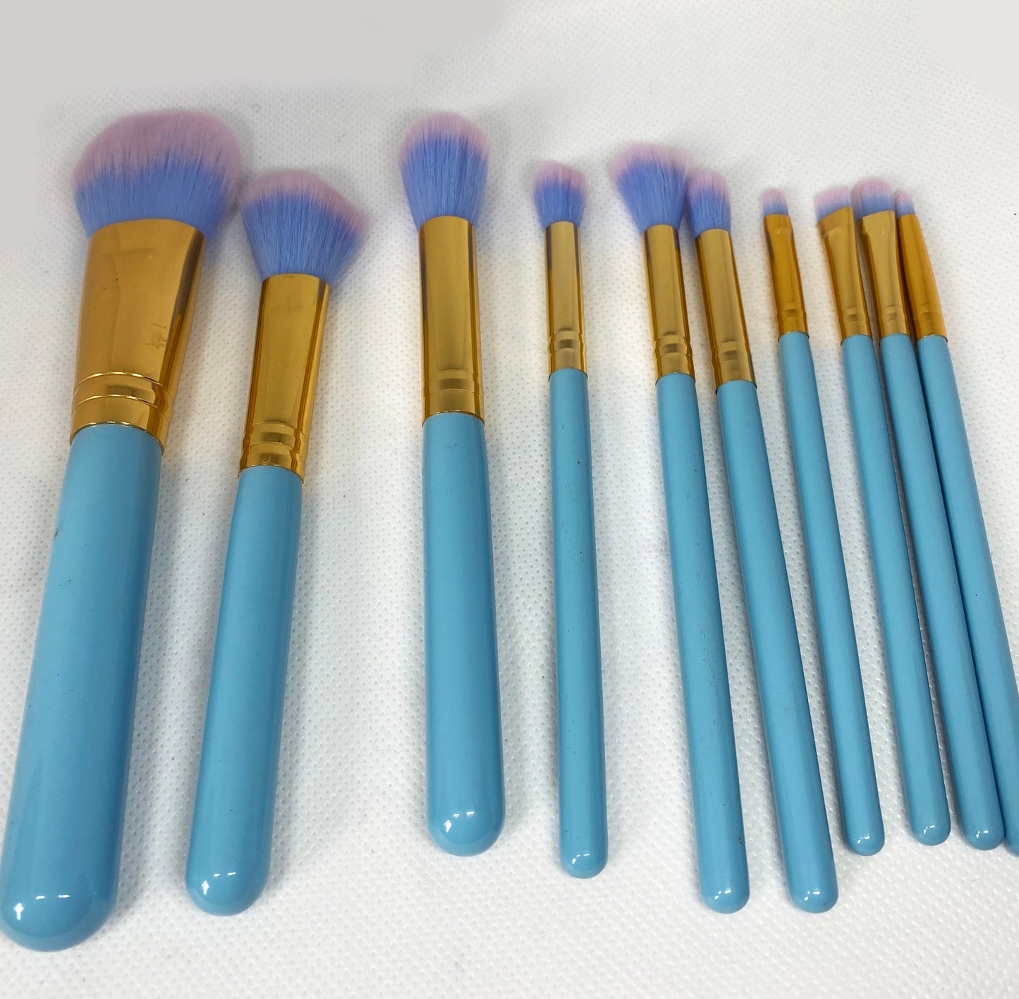 Star Gaze- 10 Piece Makeup Brush Set