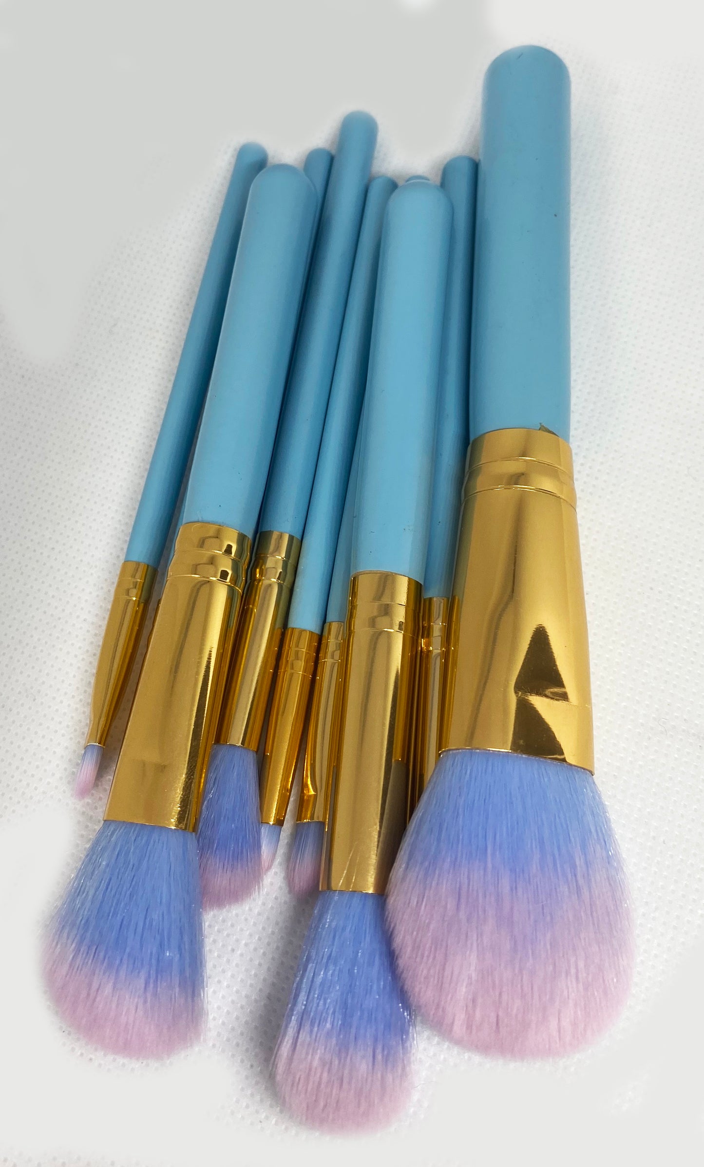 Star Gaze- 10 Piece Makeup Brush Set